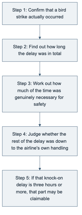 Five-step flow for assessing entitlement to compensation after a bird strike.